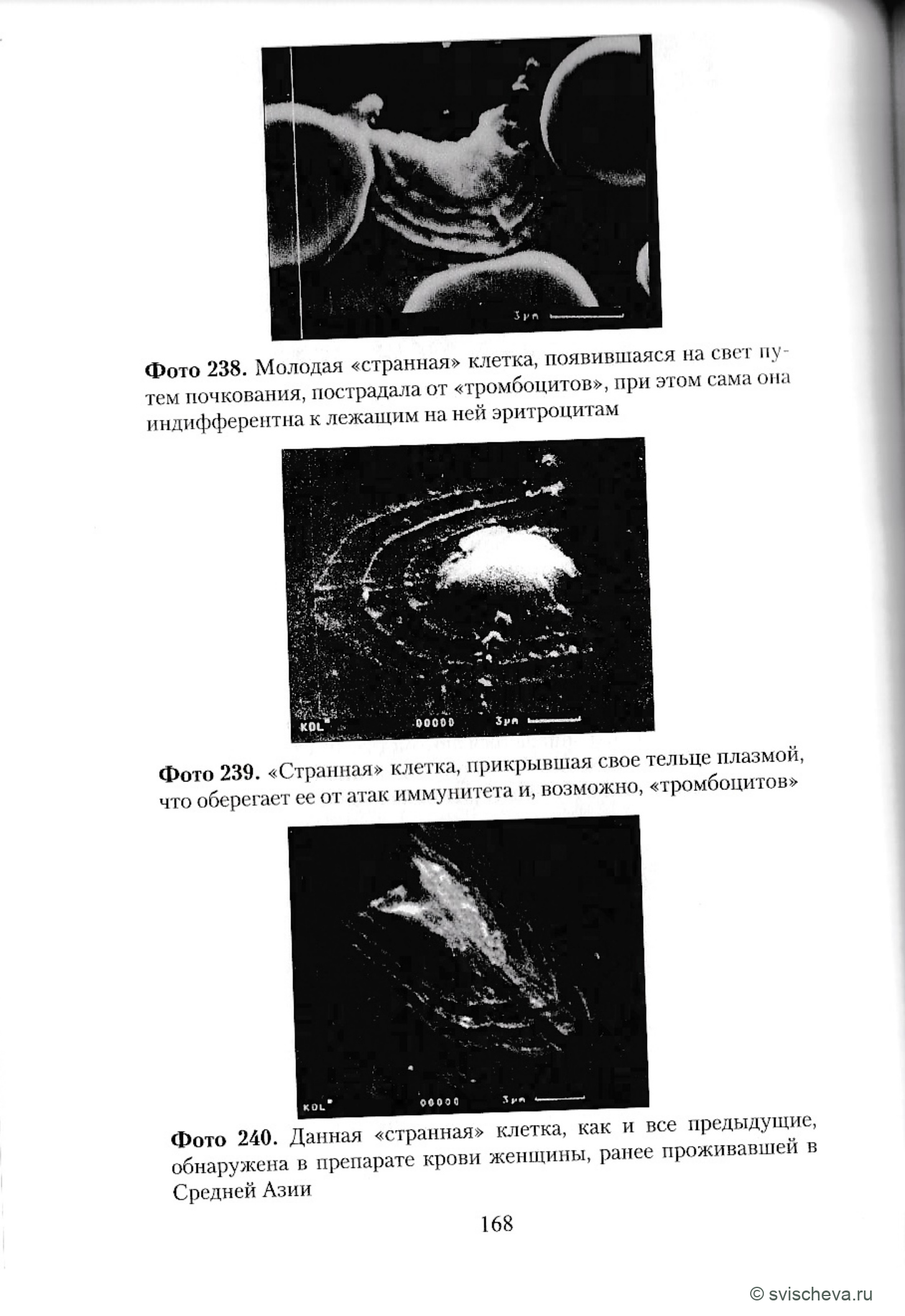 Фото 238, 239, 240.