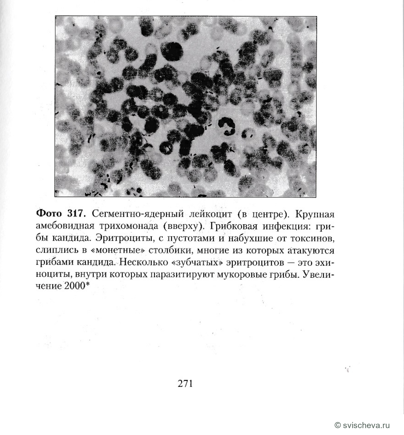 Фото 317. Полные подписи, панели и шкалы сохранены в источнике.
