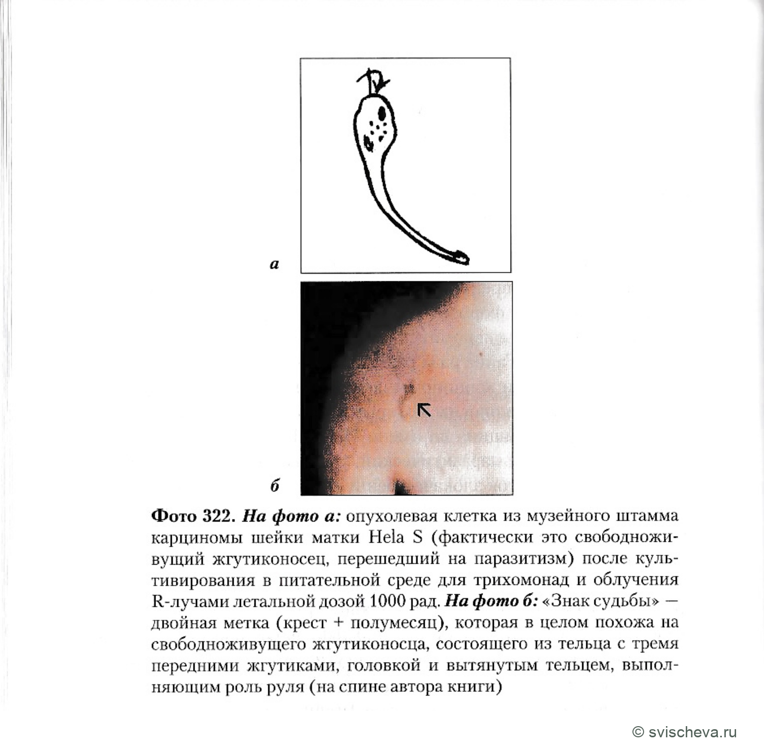 Фото 322. Полные подписи, панели и шкалы сохранены в источнике.
