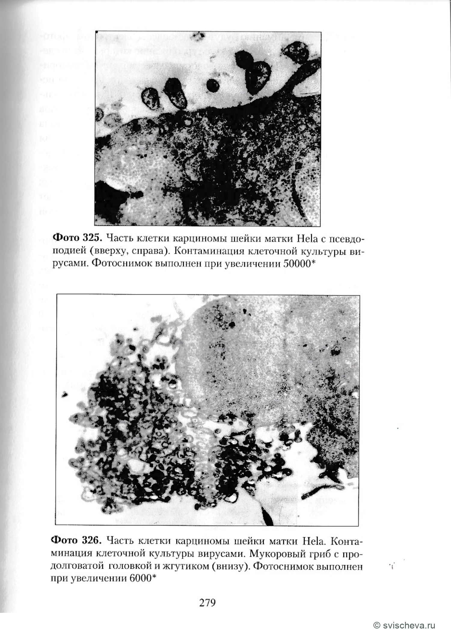 Фото 325, 326. Полные подписи, панели и шкалы сохранены в источнике.