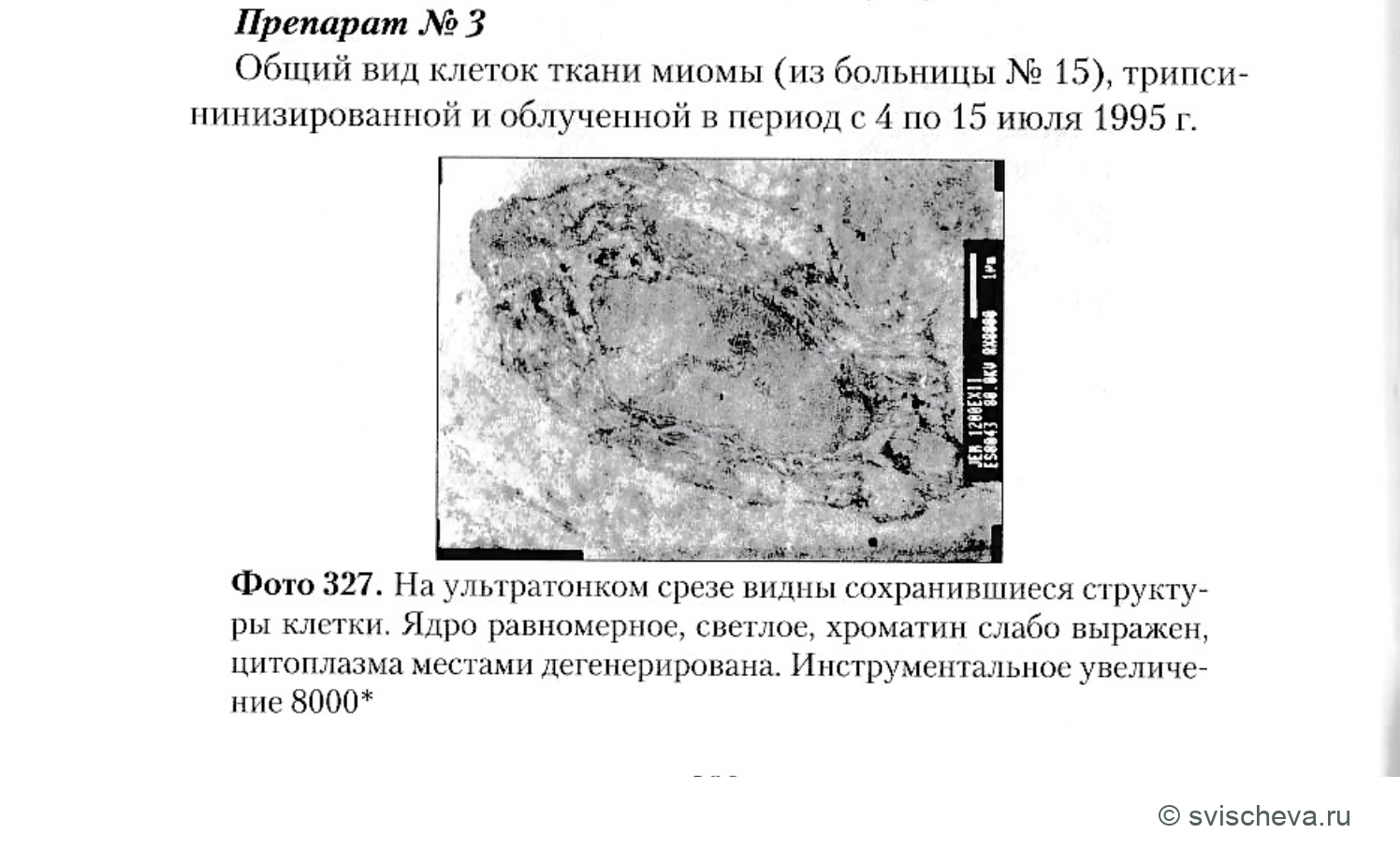 Фото 327. Полные подписи, панели и шкалы сохранены в источнике.