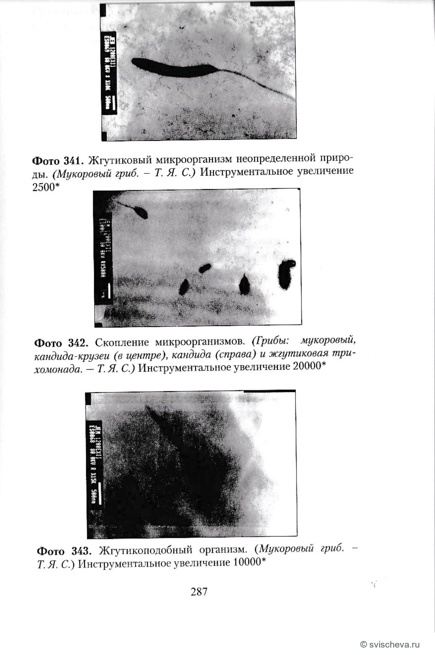 Фото 341, 342, 343. Полные подписи, панели и шкалы сохранены в источнике.