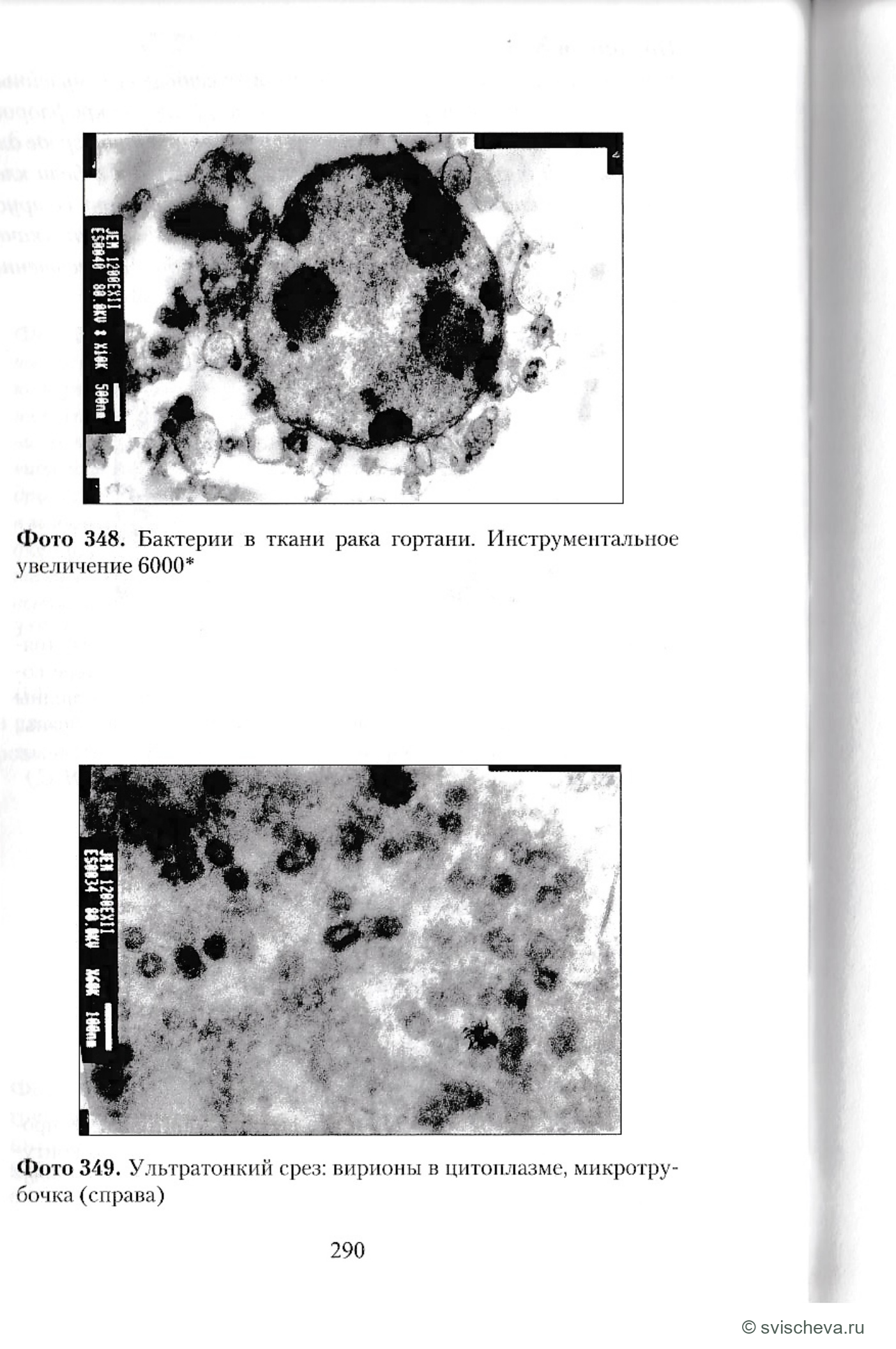 Фото 348, 349. Полные подписи, панели и шкалы сохранены в источнике.