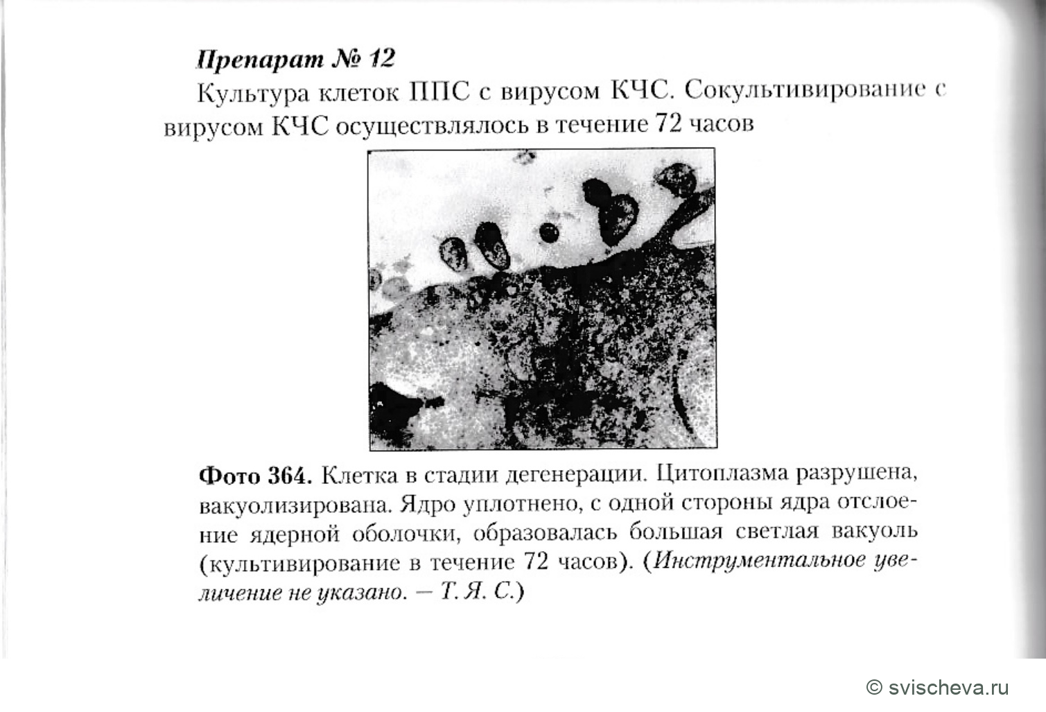 Фото 364. Полные подписи, панели и шкалы сохранены в источнике.
