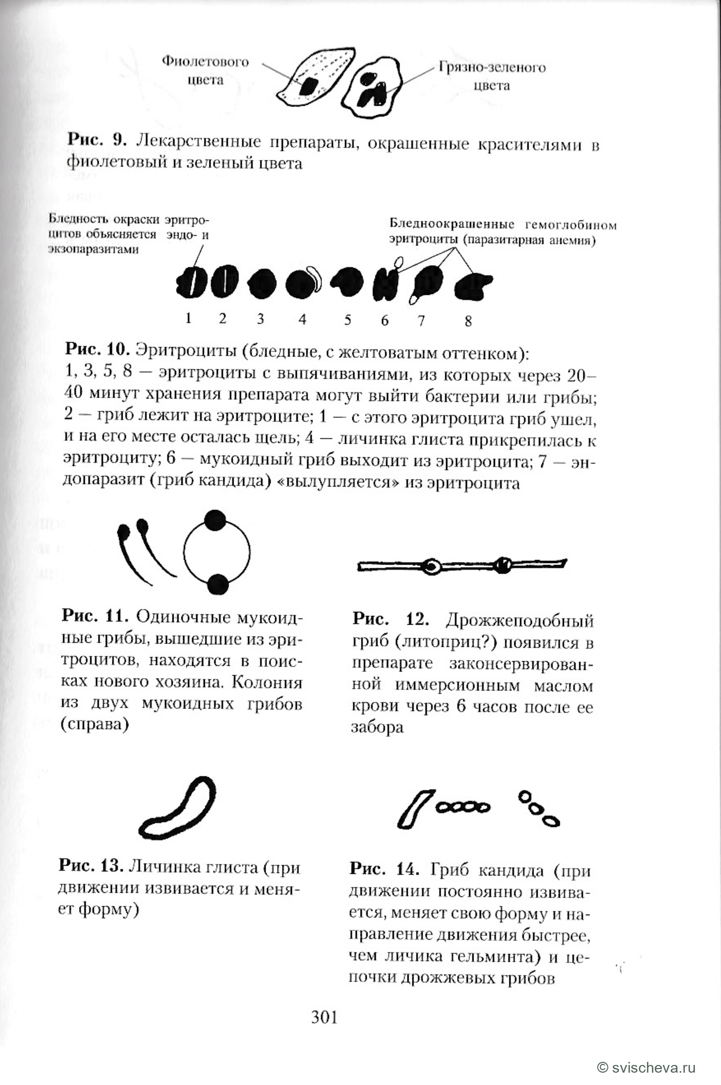 Рисунки 9, 10, 11, 12, 13, 14. Полные подписи, панели и шкалы сохранены в источнике.