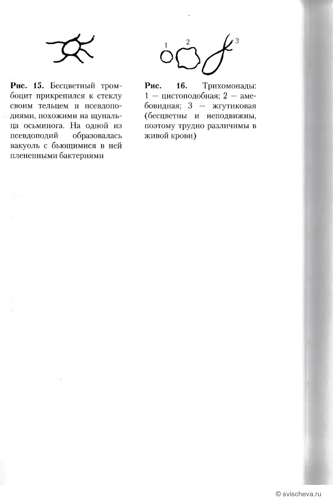 Рисунки 15, 16. Полные подписи, панели и шкалы сохранены в источнике.